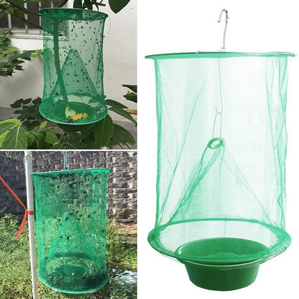 Fly and Mosquito Trap