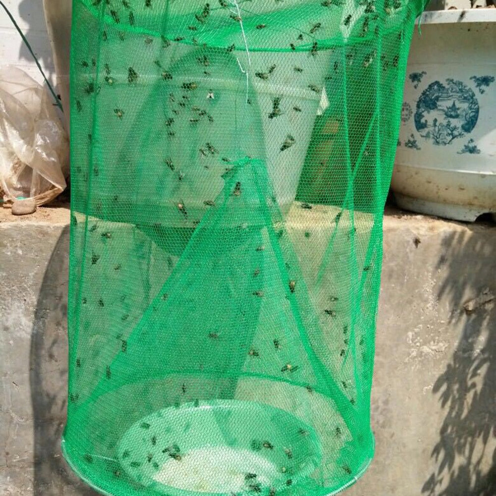 Fly and Mosquito Trap