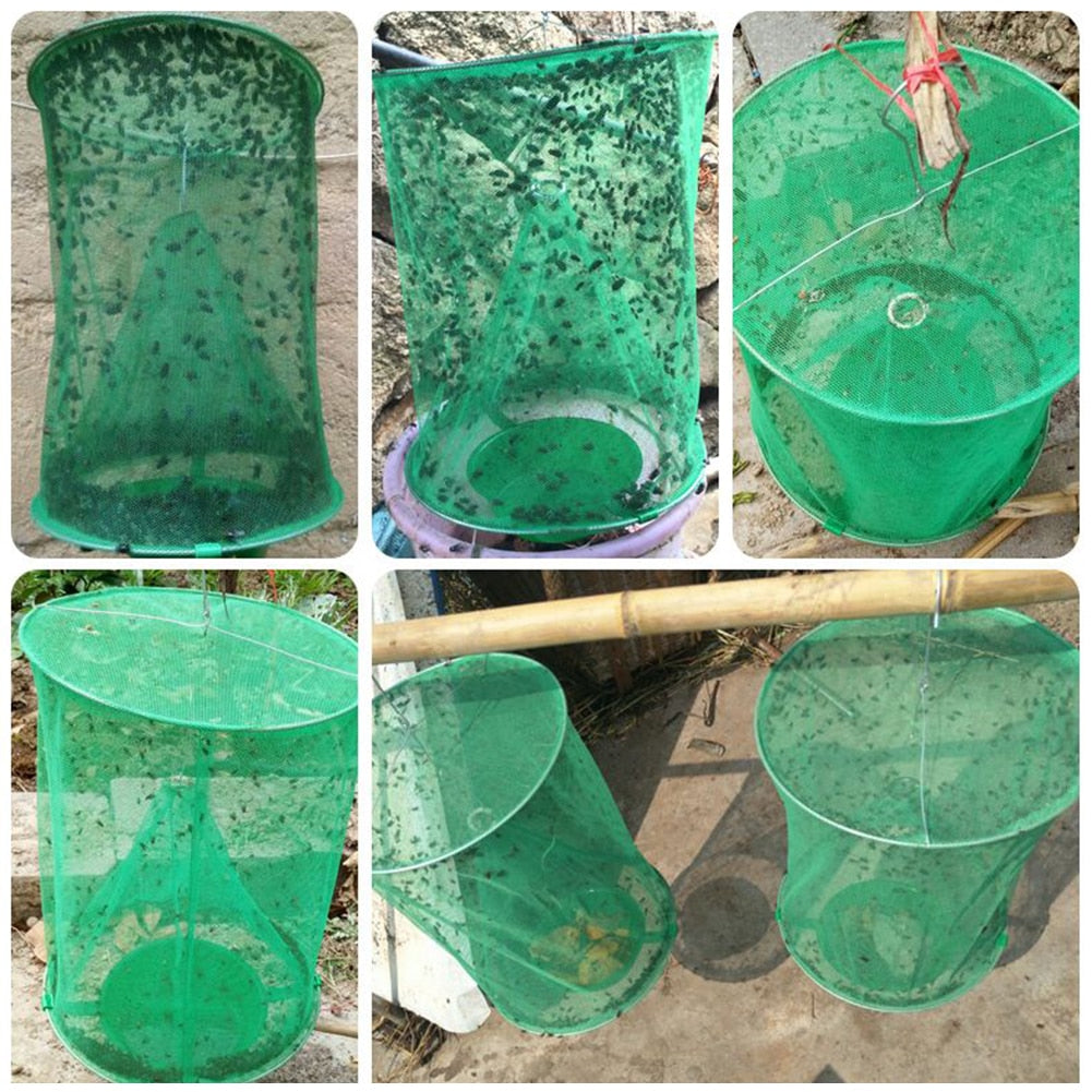 Fly and Mosquito Trap