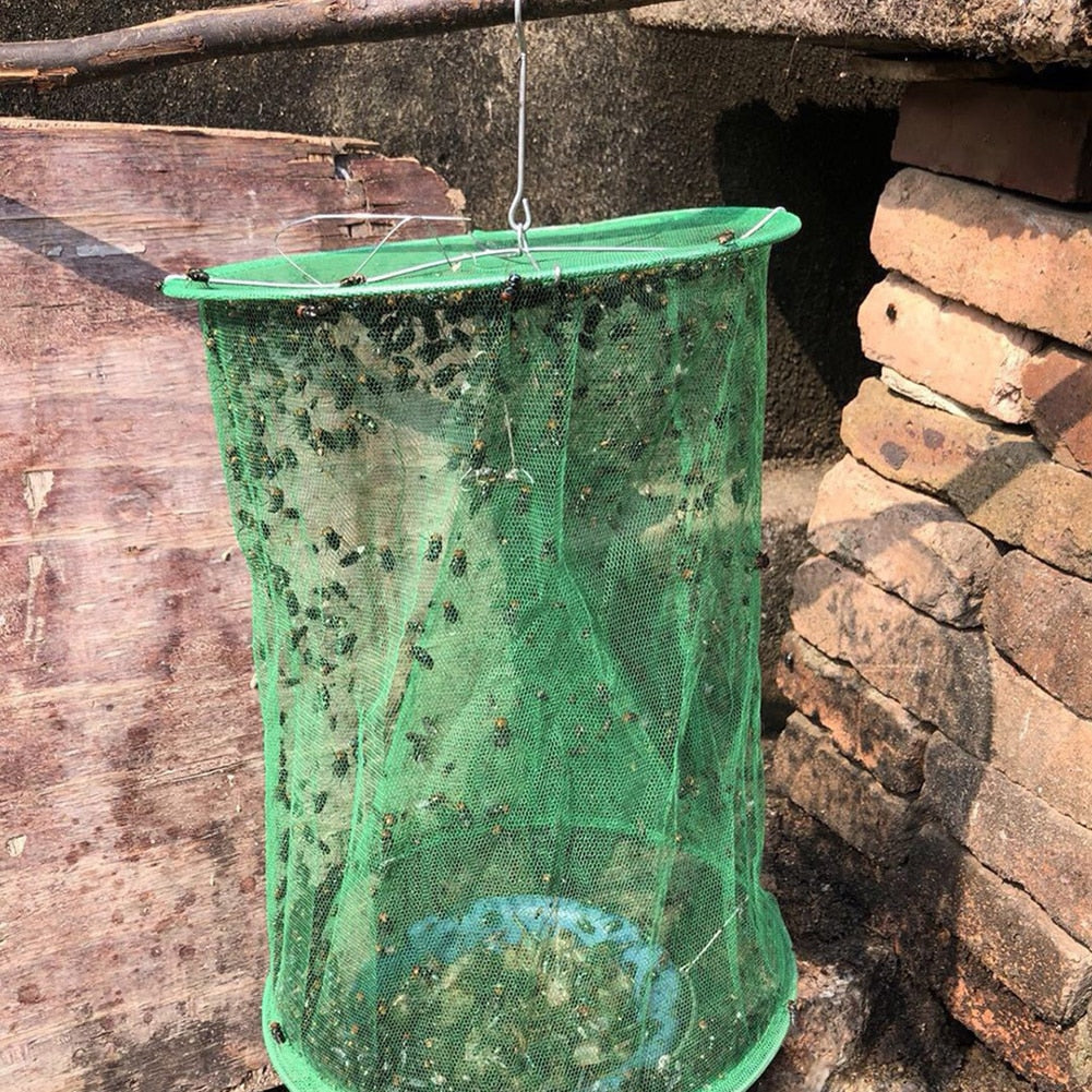 Fly and Mosquito Trap
